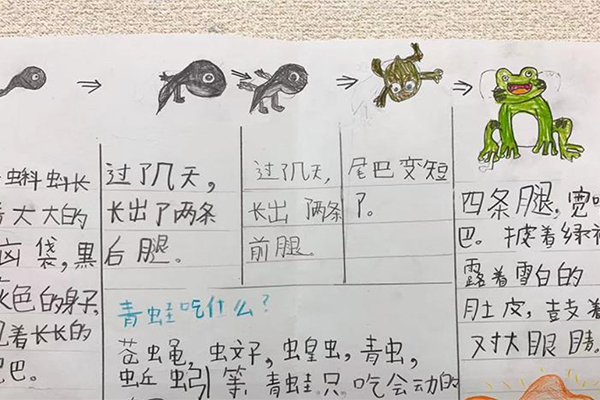 初級Bクラス 初級Bクラス